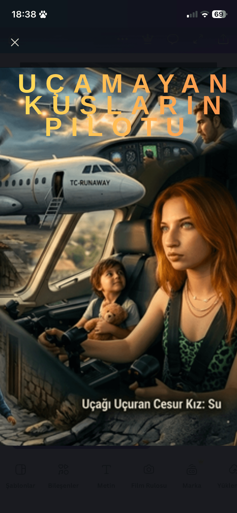 Uçamayan Kuşların Pilotu